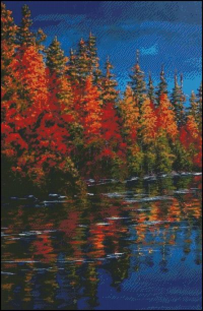 (image for) Autumn Contrast
